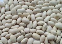 white pea bean